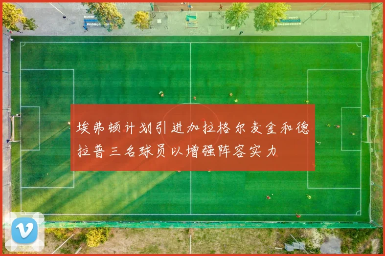 埃弗顿计划引进加拉格尔麦金和德拉普三名球员以增强阵容实力