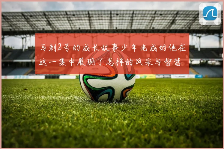 马刺2号的成长故事少年老成的他在这一集中展现了怎样的风采与智慧