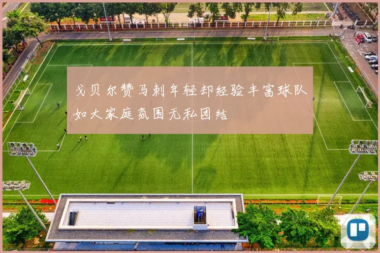 戈贝尔赞马刺年轻却经验丰富球队如大家庭氛围无私团结